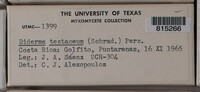 Image Associated With the Occurence